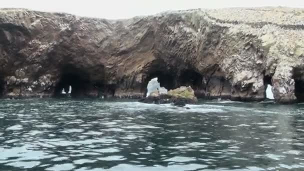 Isole Ballestas - Pisco - Perù — Video Stock