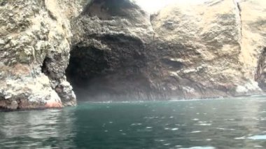 Ballestas Adaları - Pisco - Peru