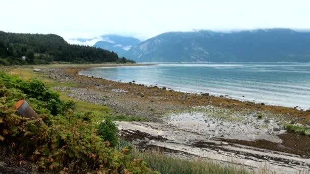 Haines - die Abenteuerhauptstadt von alaska — Stockvideo