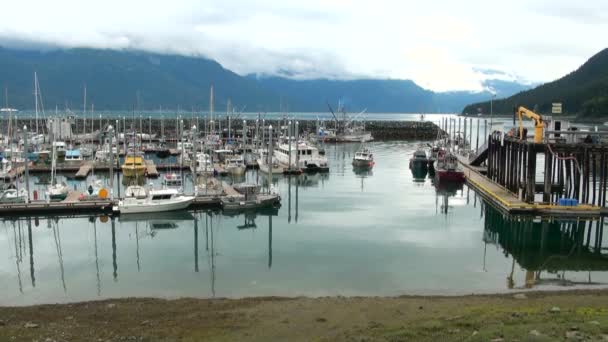Haines - Alaska macera başkenti — Stok video
