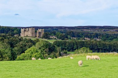 Bolton Şatosu, 14. yüzyıldan kalma bir kale. Bolton Köyü, Wensleydale, Yorkshire Dales, Birleşik Krallık