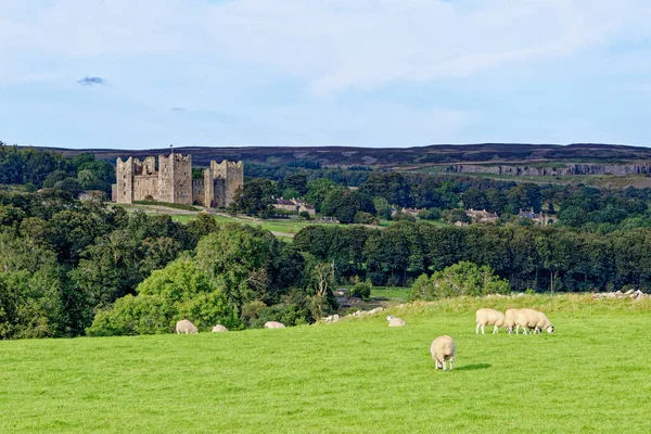 Bolton Castle Castello Del Xiv Secolo Nel Villaggio Castle Bolton — Foto Stock