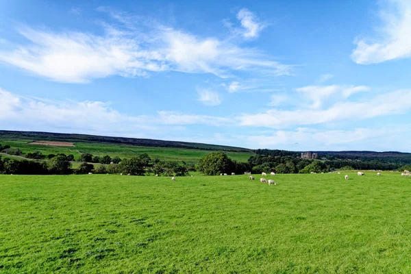 Paisagem Sobre Campos County Durham Reino Unido — Fotografia de Stock