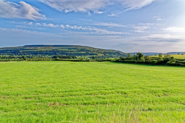 Krajina Nad Poli County Durham Velká Británie — Stock fotografie