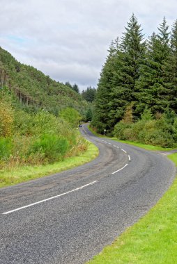 Ülke yolu, Galloway Orman Parkı, İskoçya, Birleşik Krallık