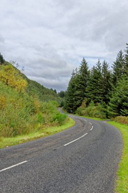 Ülke yolu, Galloway Orman Parkı, İskoçya, Birleşik Krallık