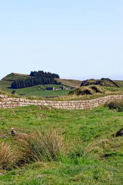 Hadrian Duvarı, Northumberland Ulusal Parkı, Northumberland, İngiltere, İngiltere - 17 Eylül 2020