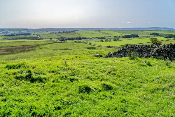 Galloway Forest Park Dumfries Galloway Scotland United Kingdom — Stock Photo, Image