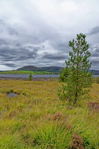 Aire Pique Nique Relaxante Loch Linnhe Dans Les Hautes Terres — Photo