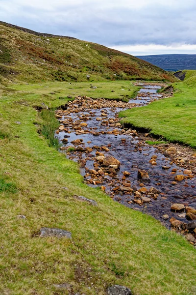 Fore Gill Gate Belle Vue Sur Les North Yorkshire Dales — Photo