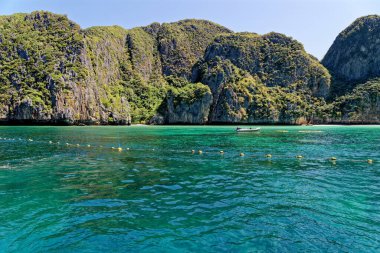 Phi Phi Adası Krabi Tayland 24 Ocak 2020 Seyahat Destiation