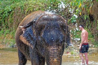 Tayland 'daki Krabi Fil Evi' nde fillerle banyo. 27 Ocak 2020 'de Krabi bölgesinde bir seyahat rotası.