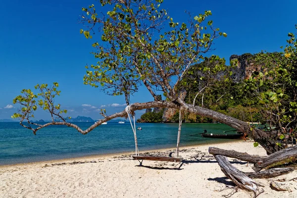 Swing Lóg Alatt Strandon Koh Phak Bia Island Krabi Thaiföld — Stock Fotó