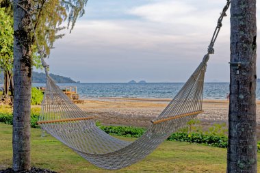 Rahatlatıcı bir halat hamağı iki palmiye ağacının arasına bağlanmış - Tayland - seyahat güzergahı