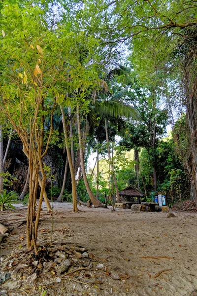 Balanço Madeira Pendurar Sob Árvore Praia Phang Nga Ilha Lao — Fotografia de Stock