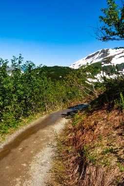 Juneau, Alaska 'daki çevre dağlarda yol - ABD