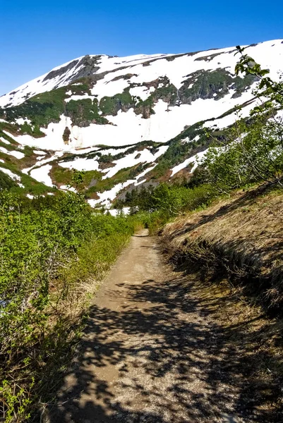 Szenische Ansicht Der Schneebedeckten Berge Rund Juneau Alaska Usa — Stockfoto