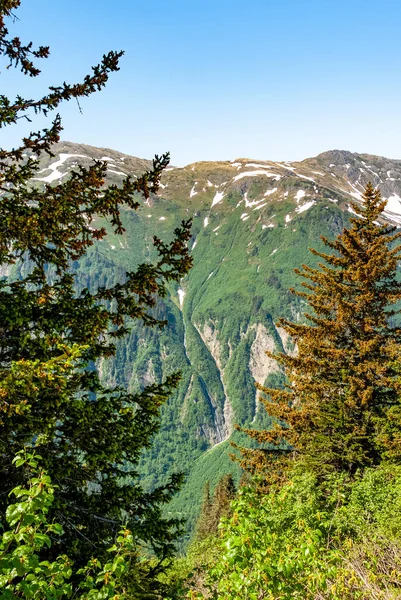 Vista Panorámica Las Montañas Nevadas Que Rodean Juneau Alaska Estados —  Fotos de Stock