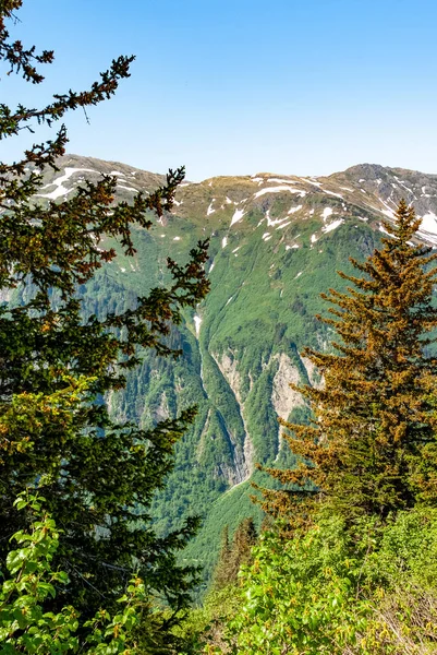 美国阿拉斯加州朱诺周围白雪覆盖的高山景观 — 图库照片