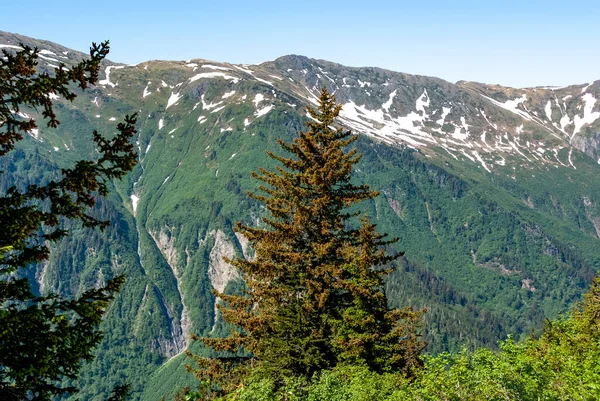 Vista Panorámica Las Montañas Nevadas Que Rodean Juneau Alaska Estados —  Fotos de Stock