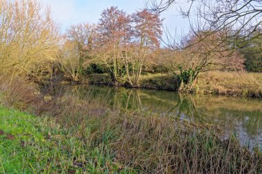 River Kennet ve Avon Kanalı Reading, Berkshire, Birleşik Krallık