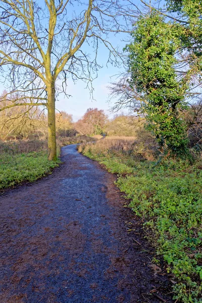 Sunny Winter Day River Kennet Reading — Stock Photo, Image