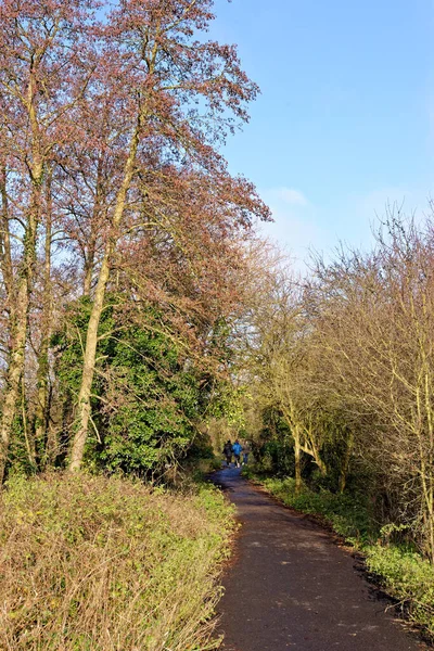 Sunny Winter Day River Kennet Reading — Stock Photo, Image