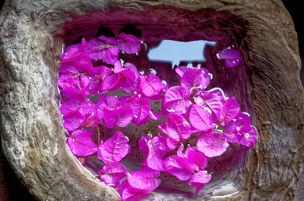 Stenkyrka Heligt Vatten Stoup Med Rosa Blommor — Stockfoto