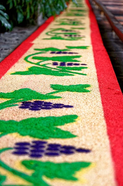 Sawdust Carpet Good Friday Procession Holy Week Antigua Guatemala Central — Stock Photo, Image