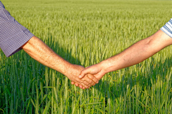 Two farmers shake hands against the background of a wheat field - Conclusion of a contract - Done Deal