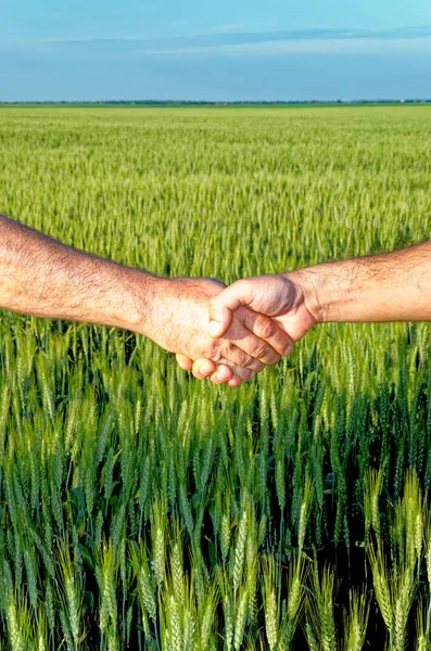 Two farmers shake hands against the background of a wheat field - Conclusion of a contract - Done Deal