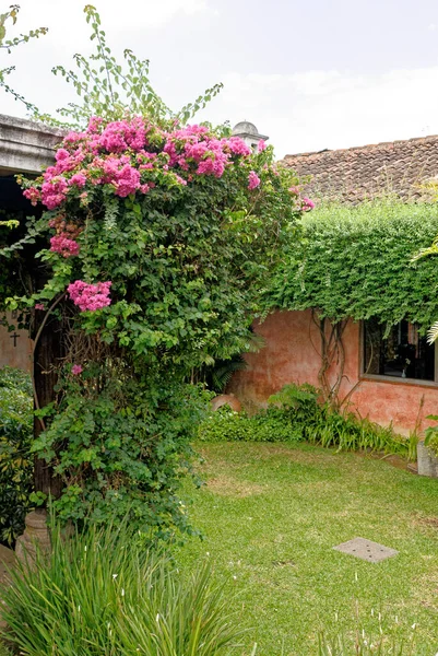 Typical Colonial Garden Jardin Posada Don Rodrigo Antigua Guatemala 24Th — Stock Photo, Image