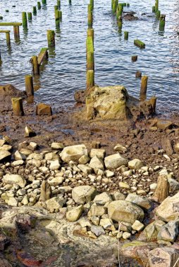 Astoria, Oregon 'daki Columbia Nehri' ndeki eski bir rıhtımın kalıntıları.