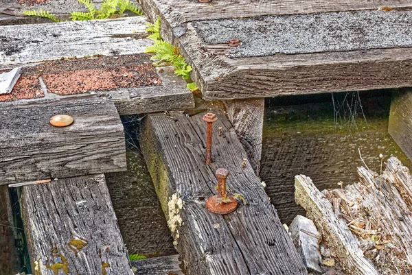 Eski Bir Iskelenin Ahşap Zemininde Eski Paslı Kereste Cıvatası — Stok fotoğraf