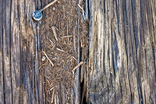 Primer Plano Del Antiguo Muelle Madera Tablones Madera Envejecidos Envejecidos —  Fotos de Stock