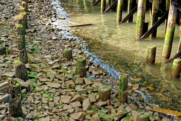 Utsikt Över Ruinerna Gammal Brygga Columbia River Astoria Oregon — Stockfoto