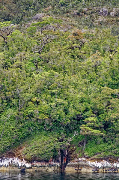 Круиз Аллее Сьера Дарвинский Канал Патагония Ландшафт Красивых Гор Гор — стоковое фото