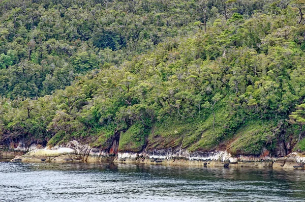 氷河の路地 ダーウィンチャネルでのクルーズ パタゴニア 美しい山々 滝の風景 — ストック写真