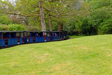 Exbury Gardens Demiryolu bu muhteşem bahçelerin kuzey kesiminde 1,25 mil boyunca uzanır. Exbury Gardens 'ta minyatür buhar treni - Hampshire, İngiltere - 20 Mayıs 2021