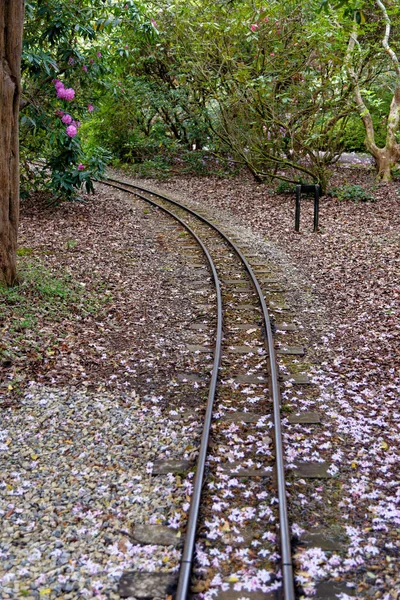 Exbury Gardens Railway Που Τρέχει Για Μίλια Γύρω Από Βόρειο — Φωτογραφία Αρχείου