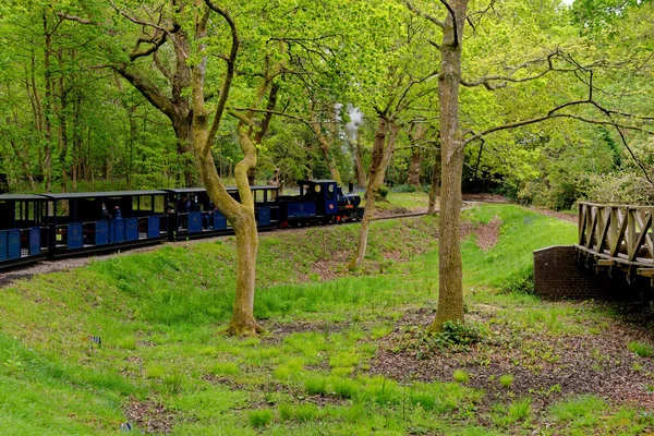 Exbury Gardens Railway Qui Étend Sur Miles Autour Partie Nord — Photo