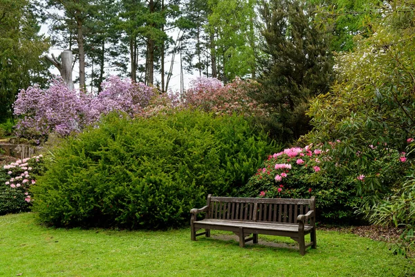 Colourful Plants Spring Grounds Exbury Gardens Large Woodland Garden Belonging — Stock Photo, Image