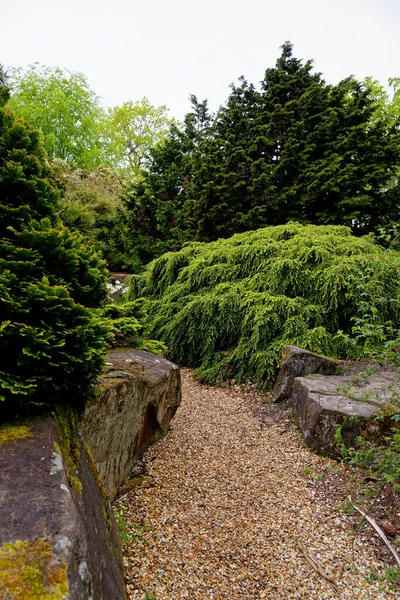 2021年5月20日 英国汉普郡罗斯柴尔德家族的一个大型森林公园Exbury花园的地面上 春天的五彩缤纷的植物 — 图库照片