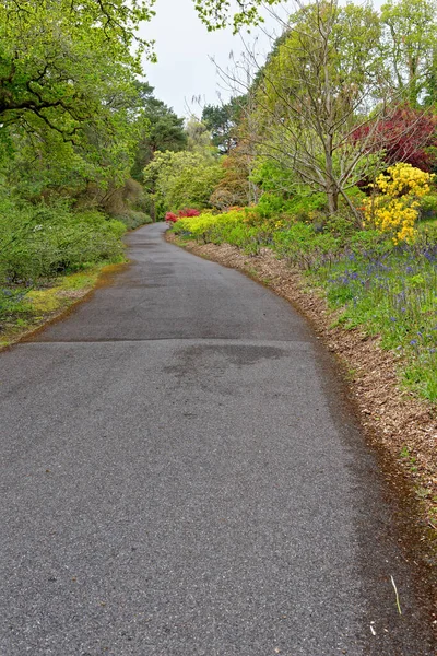 Colourful Plants Spring Grounds Exbury Gardens Large Woodland Garden Belonging — Stock Photo, Image