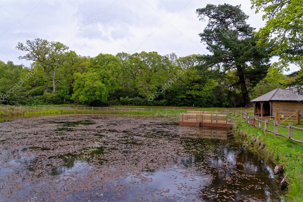 Dragonfly Pond during spring in the grounds of Exbury gardens, a large woodland garden belonging to the Rothschild family in Hampshire, England, UK - 20th of May 2021