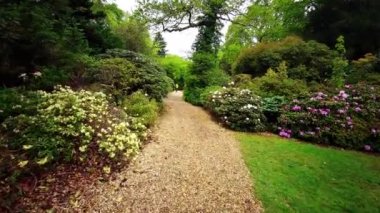 Baharda Exbury bahçelerinde renkli bitkiler, Hampshire, İngiltere 'de Rothschild ailesine ait büyük bir orman bahçesi - 20 Mayıs 2021