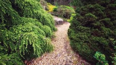 Baharda Exbury bahçelerinde renkli bitkiler, Hampshire, İngiltere 'de Rothschild ailesine ait büyük bir orman bahçesi - 20 Mayıs 2021