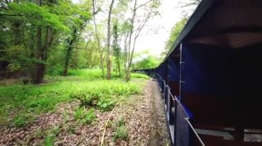 Exbury Gardens Demiryolu, İngiltere 'nin Hampshire kentindeki bu görkemli bahçelerin kuzey kısmında 1,25 mil boyunca uzanır.