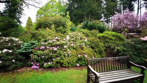 Plantas Coloridas Durante Primavera Nos Jardins Exbury Grande Jardim Florestal — Vídeo de Stock