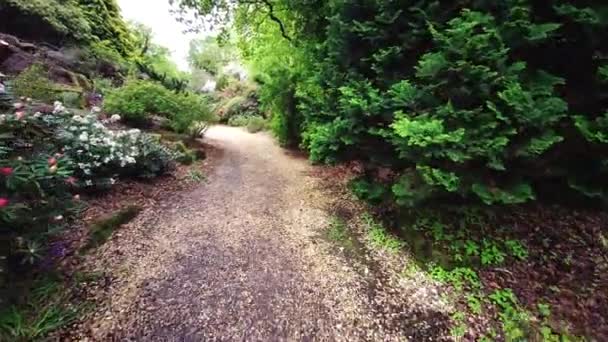 2021年5月20日 英国汉普郡罗斯柴尔德家族的一个大型森林公园Exbury花园的地面上 春天的五彩缤纷的植物 — 图库视频影像